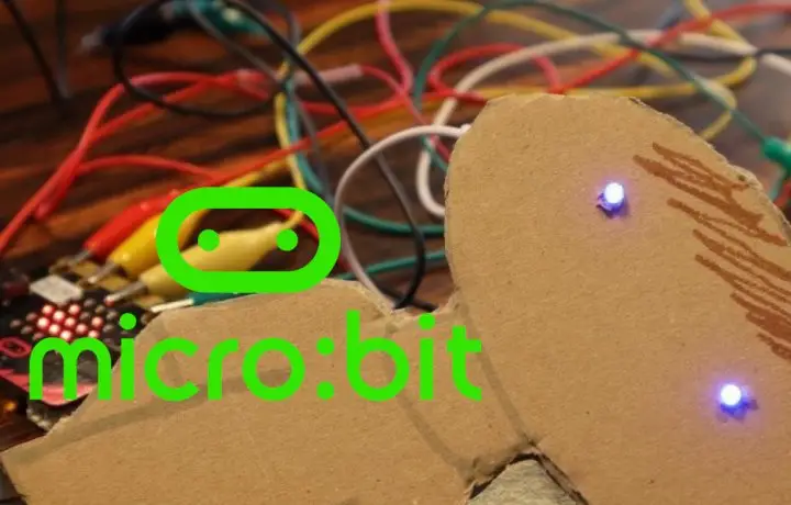 Microbit tækjaforritun